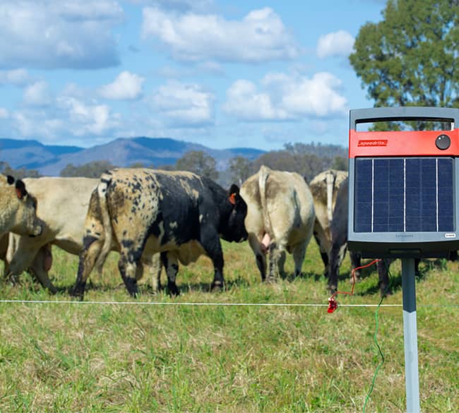 Speedrite S1000 Solar Energizer used for cattle pasture