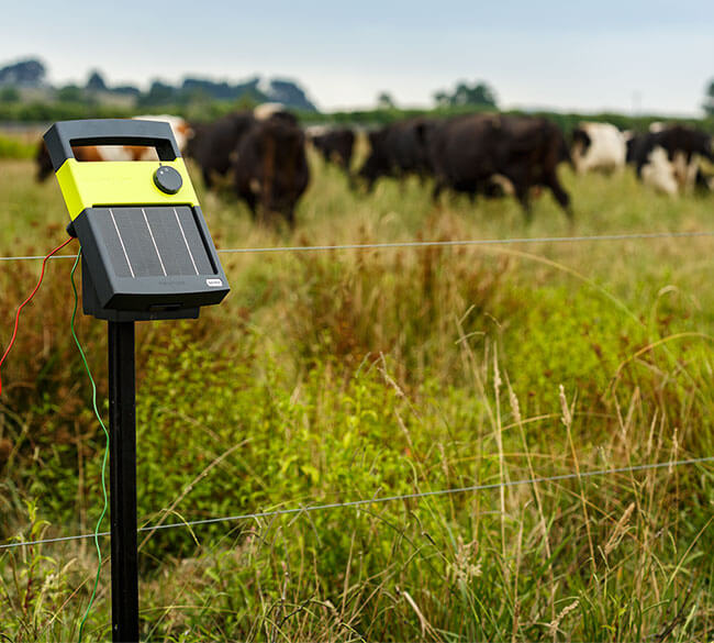 Solar energizer post mounted for cattle pasture