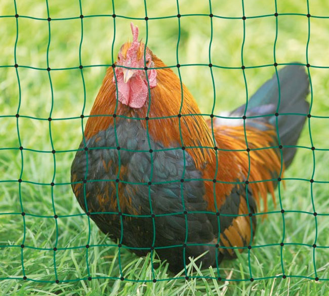Our Poultry Netting has extremely stable welded knot