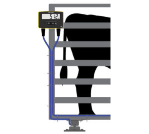 Tru-Test S3 Weigh Scale Indicator on chute