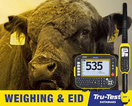 Trutest livestock weighing and EID systems