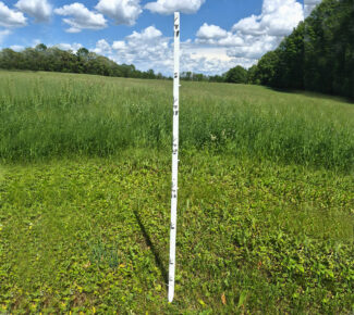 60" Step-In Post - 10pk
